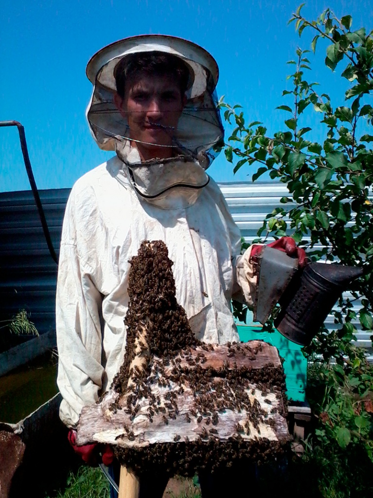 In the apiary