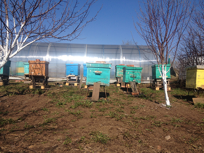 PPU hives